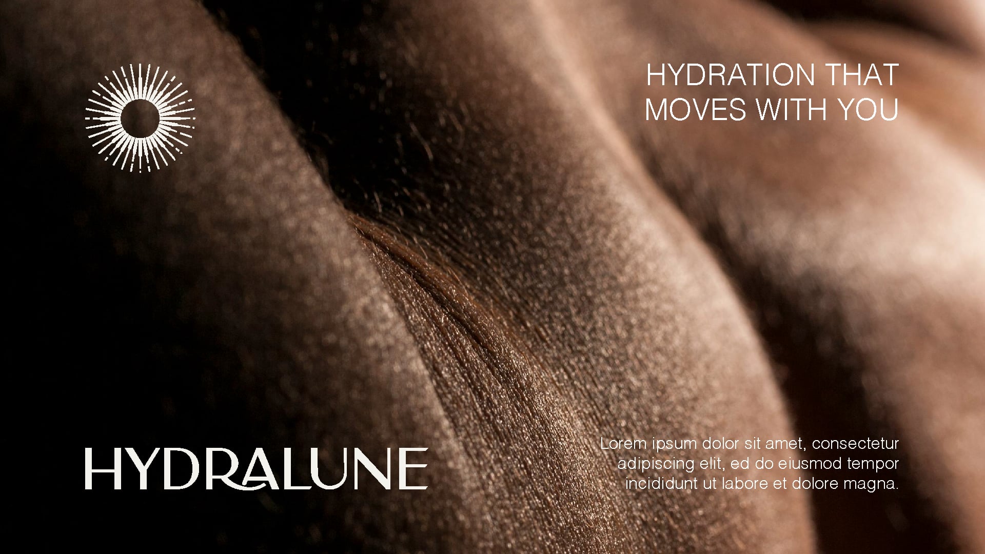 Content and social system overview showing cohesive branded assets